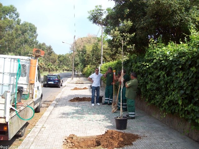23 maggio 2011 Sabaudia: Il Verde è Vita